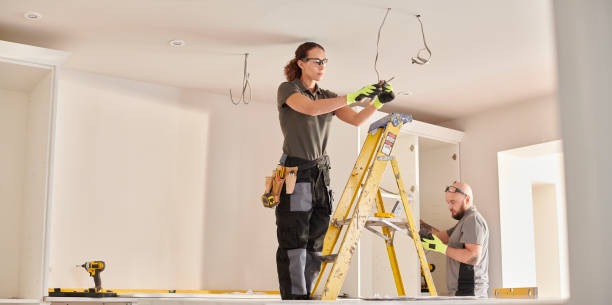 Best Electric Panel Repair  in Highland, IL
